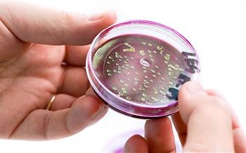 Bakterie w wydzielinie prostaty